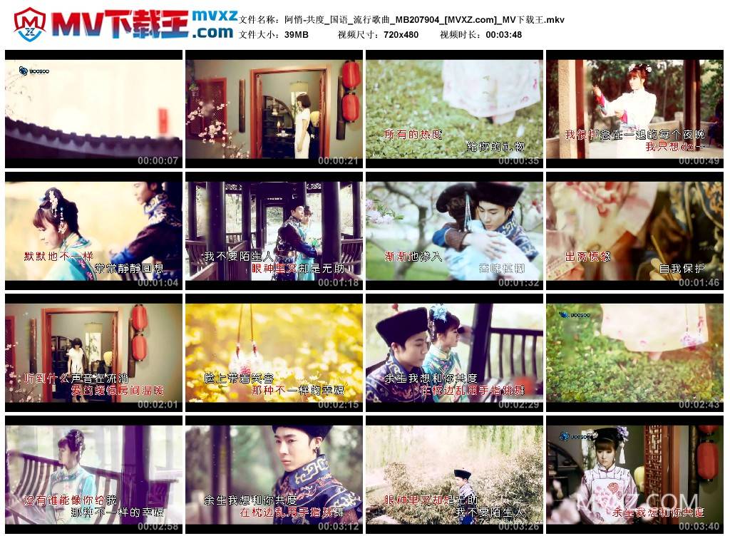 阿悄-共度_国语_流行歌曲_MB207904